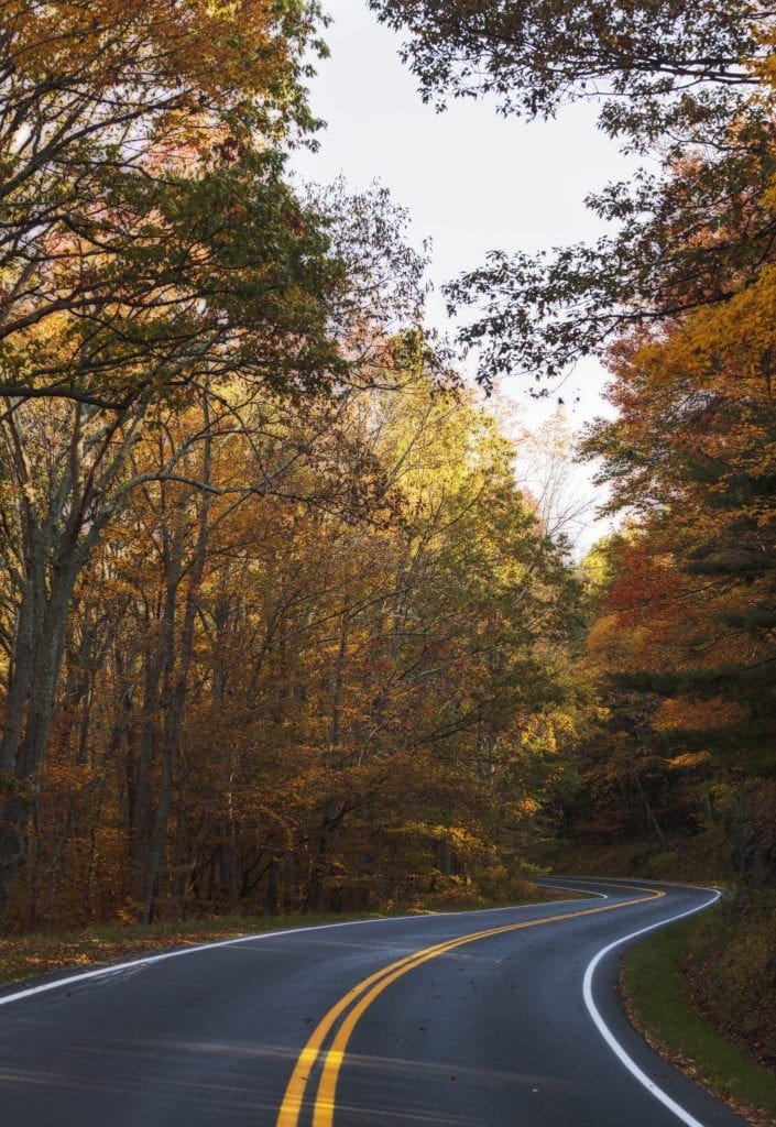 November 2020 - Park of the Month 8 Skyline Drive near Pass Mountain Overlook.