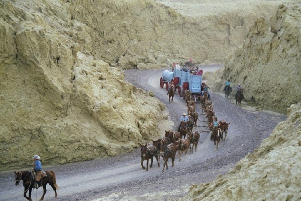 March 2021 - Park of the Month 8 20 Mule Team Completing Curve during Reenactment.