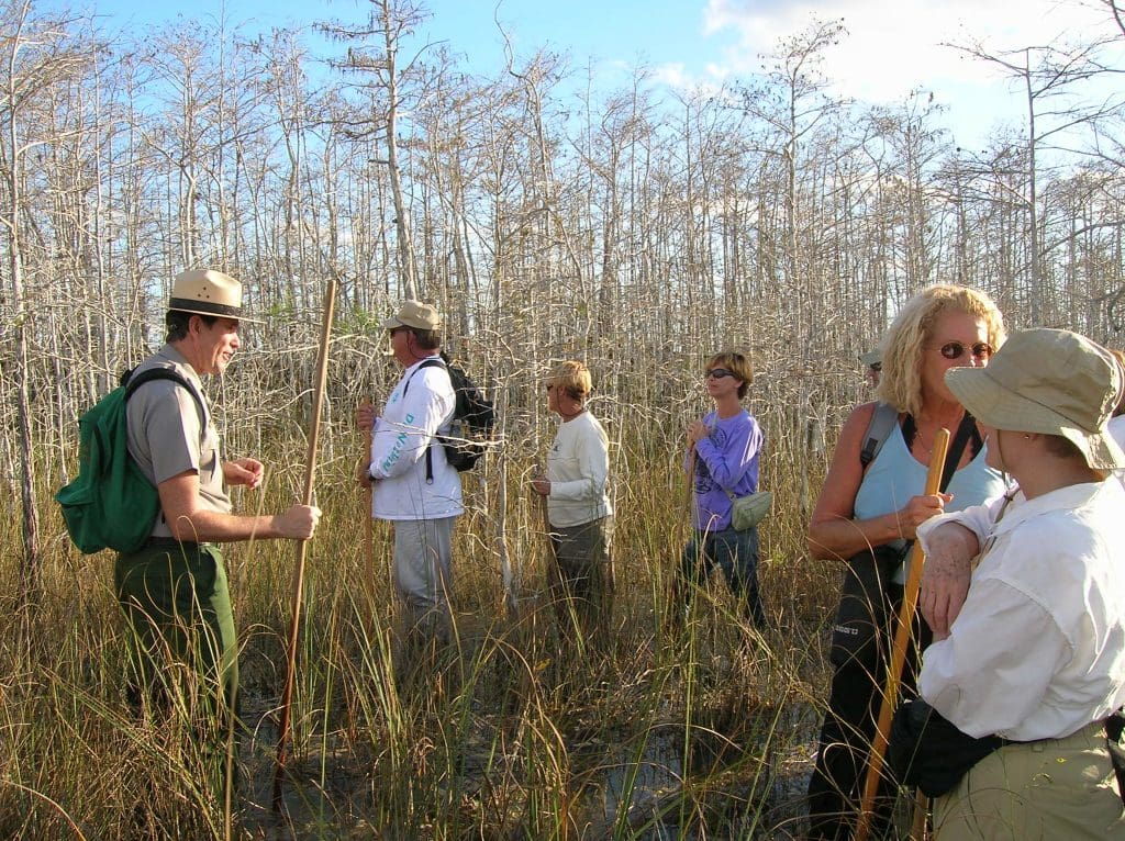 March 2022 - Park of the Month 19 Slough Slog Ranger Program in Everglades National Park