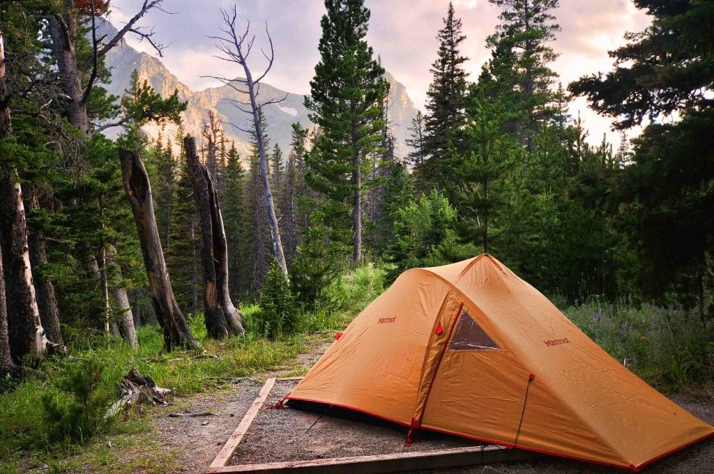 Be Prepared! Ticketed Entry Reservations, Know Which Park's Will Have Them in 2022 15 Cut Bank Campground in Glacier National Park